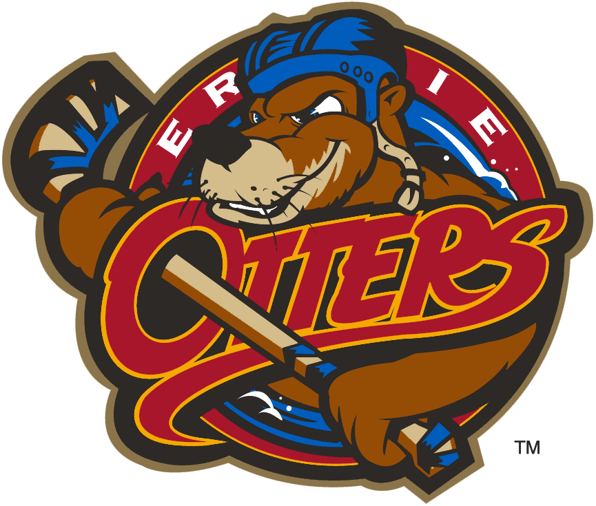 Erie Otters 1996 97-2015 16 Primary Logo iron on paper